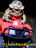 /home//u458753944/public_html/sourcegallery//McKaig Nature Center/2020-10-11/PA110709.JPG